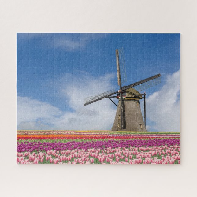 Puzzle Moulin À Vent Et Tulipes Colorées Amsterdam Pays-B (Horizontal)
