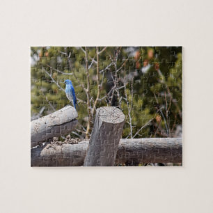 Puzzle Mountain Blue Jay - 8x10 - 110 pcs