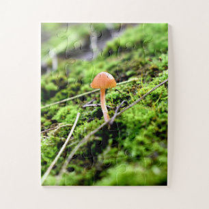 Puzzle Mousses et lichens avec de minuscules champignons