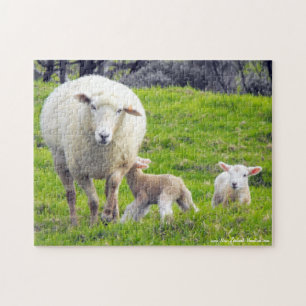 Puzzle Mouton avec agneaux jumeaux