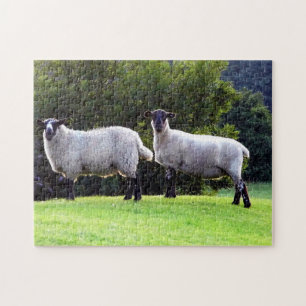 Puzzle Mouton gallois