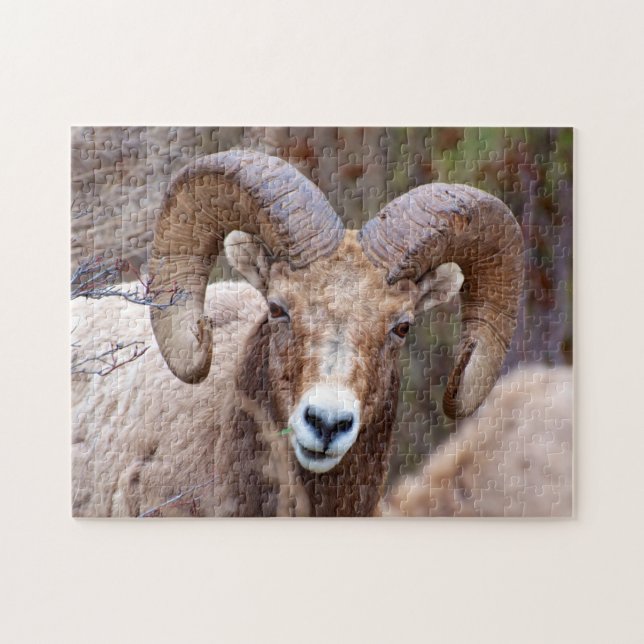 Puzzle Mouton noir des Rocheuses (Horizontal)