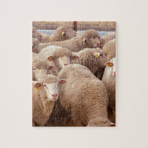 Puzzle Moutons