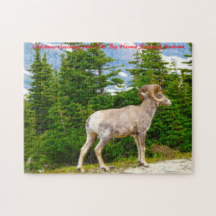 Puzzle Moutons à grandes cornes Montana. Vœux de Noël