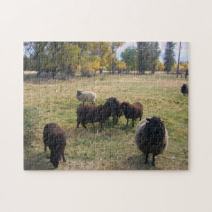 Puzzle Moutons dans le pâturage