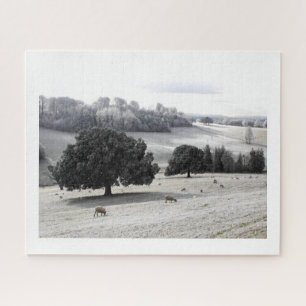 Puzzle Moutons dans un champ gelé