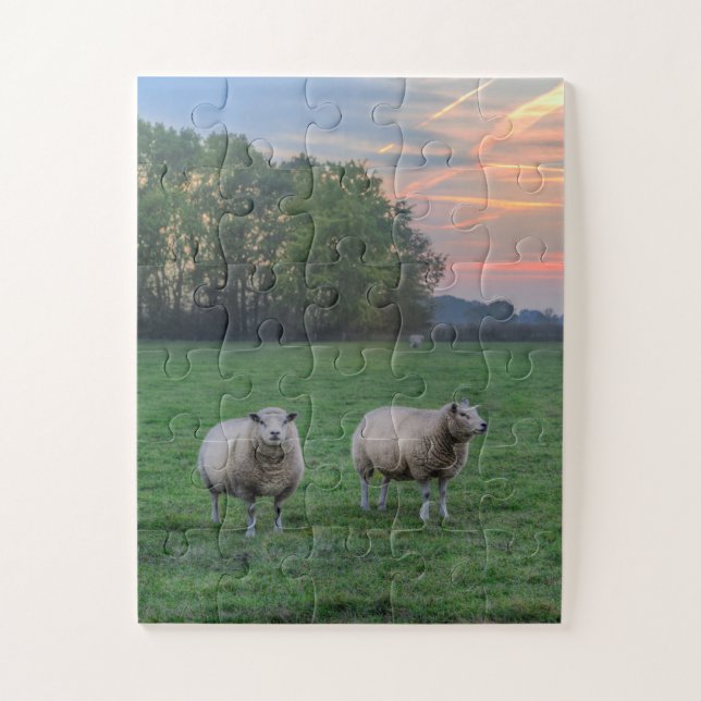 Puzzle Moutons en champ avec coucher de soleil (Vertical)