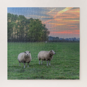 Puzzle Moutons en champ avec coucher de soleil