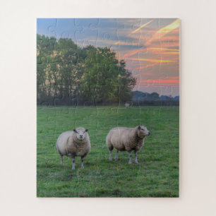 Puzzle Moutons en champ avec coucher de soleil