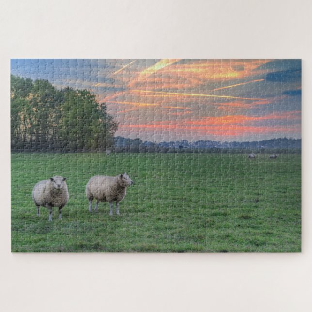 Puzzle Moutons en champ avec coucher de soleil (Horizontal)