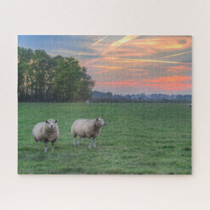 Puzzle Moutons en champ avec coucher de soleil