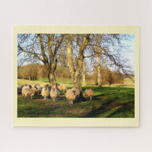 Puzzle Moutons en hiver