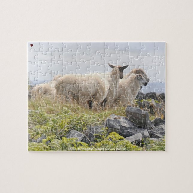 Puzzle Moutons sur les îles Aran Galway Irlande (Horizontal)