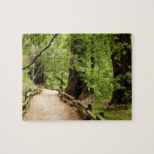 Puzzle Muir Woods Path II Nature Photography