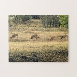 Puzzle Mule Deer dans un champ