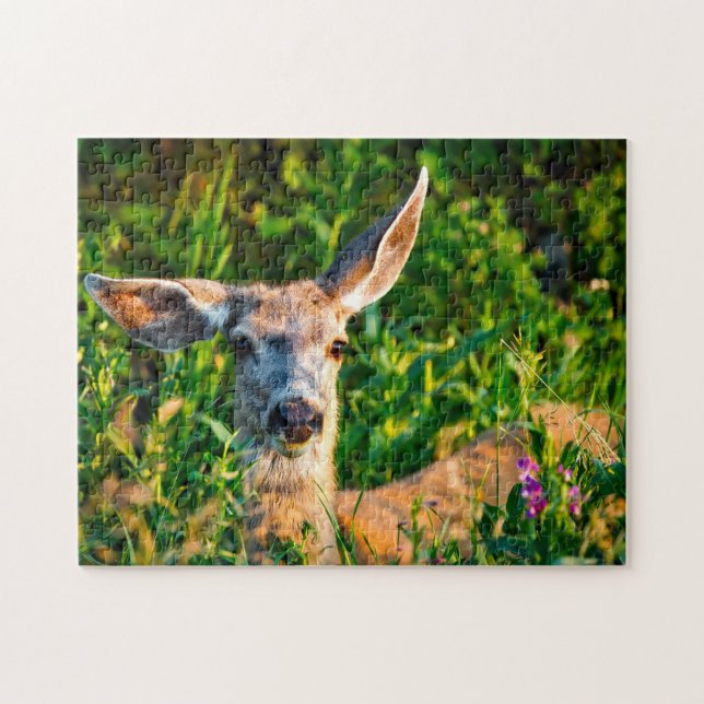 Puzzle Mule Deer Montana. (Horizontal)