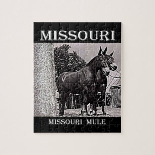 Puzzle Mule du Missouri