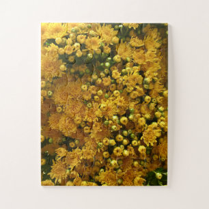 Puzzle Mur de Fleur Dorée   Chrysanthème Jaune