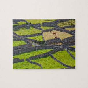 Puzzle Murs de pierre Galway Irlande.