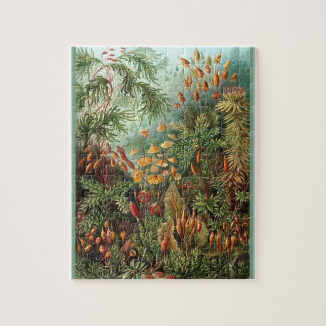 Puzzle Muscinae - Ernst Haeckel 8x10 (Vertical)