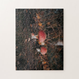 Puzzle mushroom forest