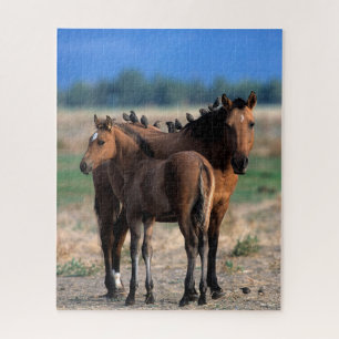 Puzzle Mustang Mare et poulain debout avec les oiseaux