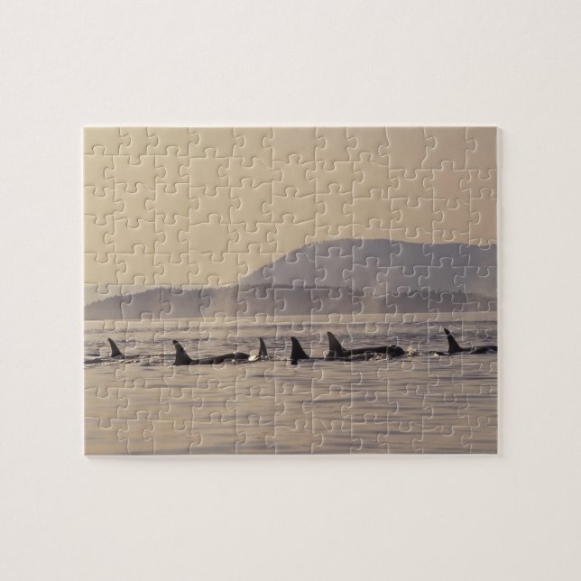 Puzzle N.A., États-Unis, Washington, San Juan Islands Orc (Horizontal)