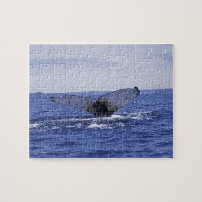 Puzzle NA, Canada, Terre-Neuve, baie de Trinity. Bossu (Horizontal)
