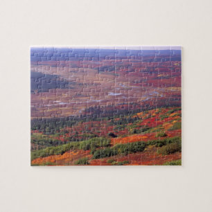 Puzzle NA, États-Unis, Alaska, Parc national Denali, Vue