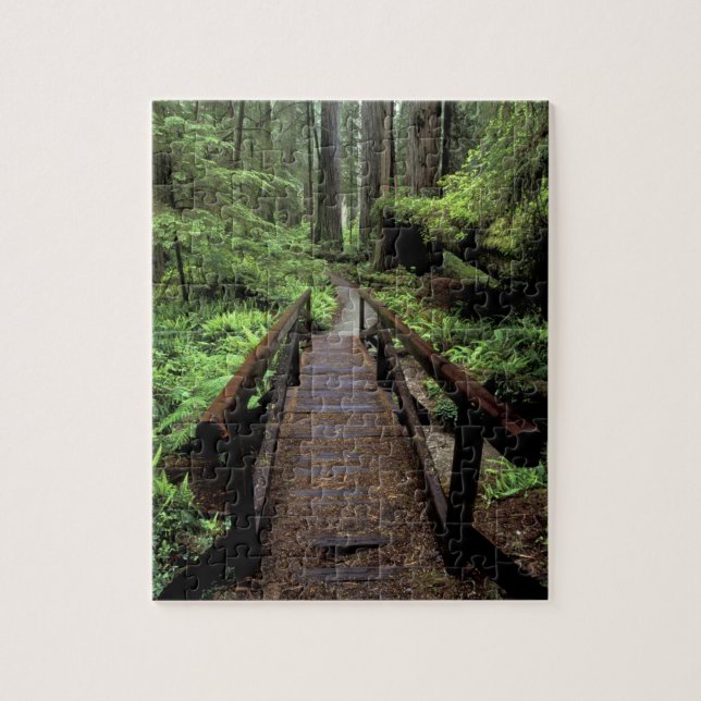 Puzzle NA, États-Unis, Californie, Jedidiah Smith Redwood (Vertical)