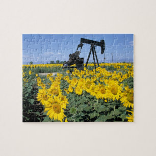 Puzzle Na, États-Unis, Colorado, Tournesols, Derrick de p