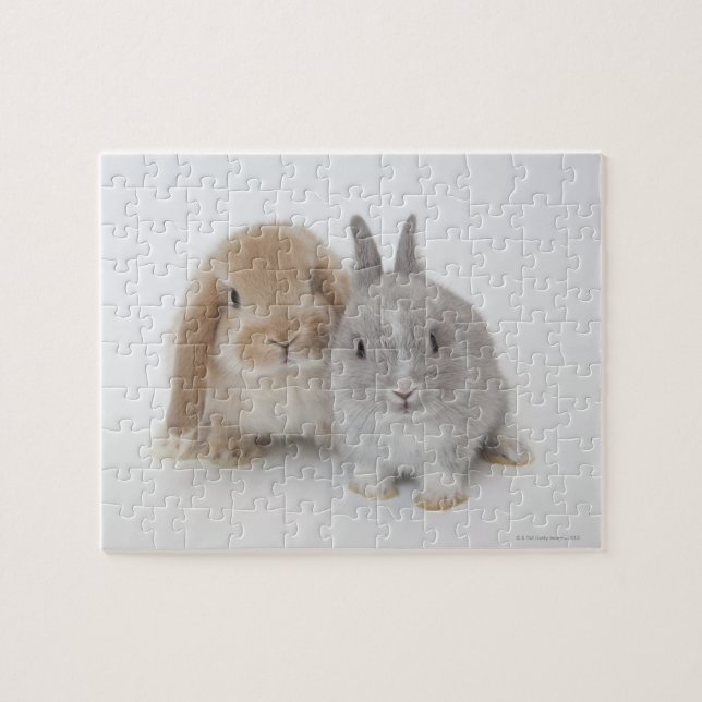 Puzzle Nain de deux Netherland et lapins de la Hollande (Horizontal)