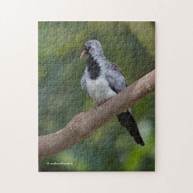 Puzzle Namaqua Pigeon / La colombe dans l'arbre (Vertical)