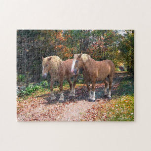Puzzle "Napoléon & Joséphine"