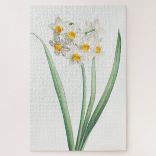 Puzzle Narcisse, Pierre-Joseph Redouté, 1805