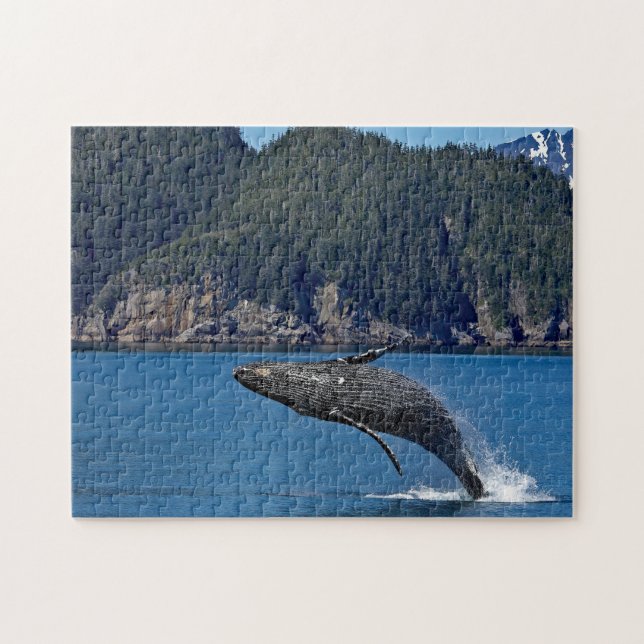 Puzzle Nature Baleine à bosse Photo Faune (Horizontal)