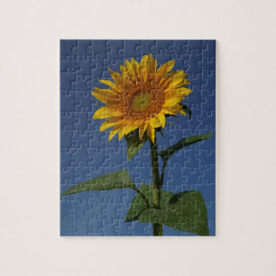 Puzzle nature de tournesol mignon