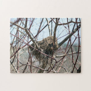 Puzzle Nature du nid d'oiseaux de printemps abandonné