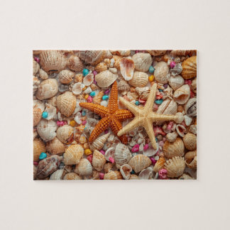 Puzzle Nature morte de coquillages vibrants sur fond sarc