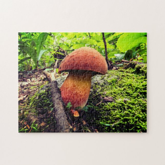 Puzzle Nature vibrante | Roi Bolete (Horizontal)