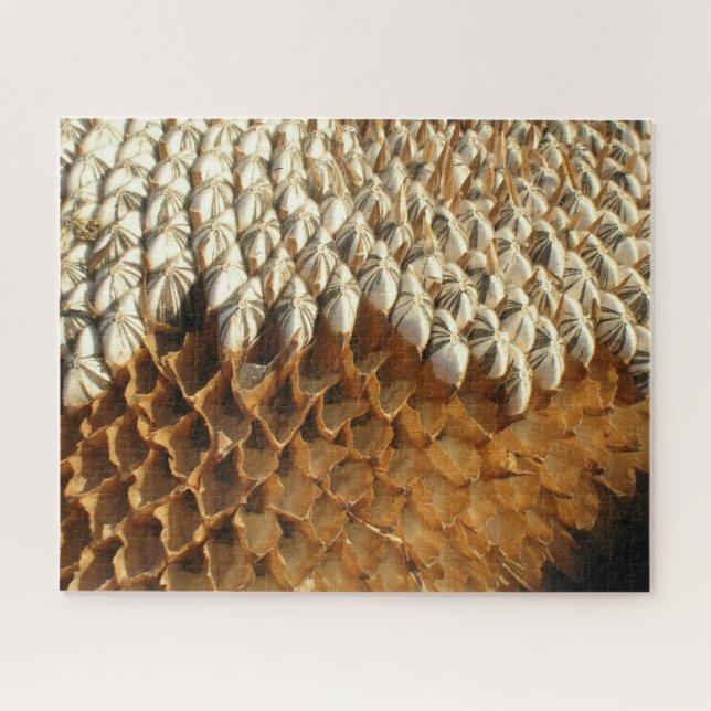 Puzzle - Natures Geometry in Sunflower (Horizontal)