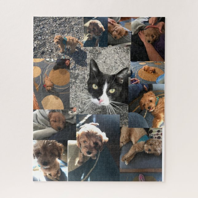 Puzzle Neco et muscade (Vertical)