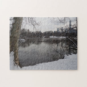 Puzzle Neige d'hiver à Central Park New York City NYC