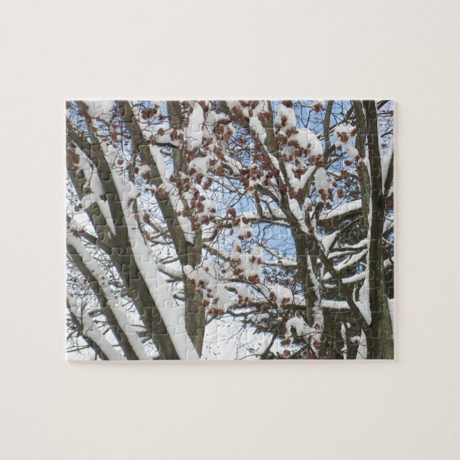 Puzzle Neige sur une érable japonaise — (Horizontal)