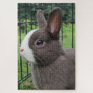 Puzzle Neitherland nain animal lapin lapin lapin Jigsaw P