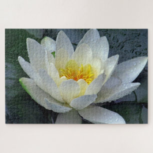 Puzzle Nénuphar