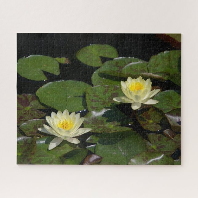 Puzzle Nénuphar Jaune (Horizontal)