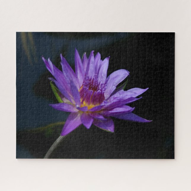 Puzzle Nénuphar violet (Horizontal)