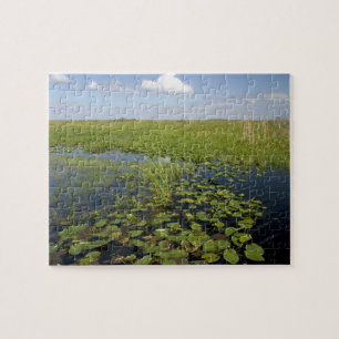 Puzzle Nénuphars et sawgrass dans les everglades de Flori