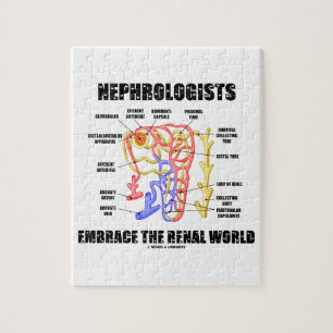 Puzzle Nephrologists Embrace The Renal World (Nephron)